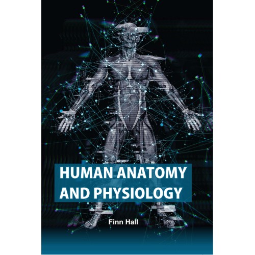 Human Anatomy And Physiology 