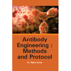 Antibody Engineering : Methods and Protocol