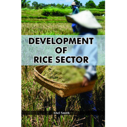 Development of Rice Sector