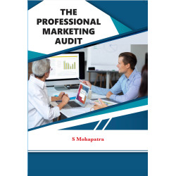 The Professional Marketing Audit